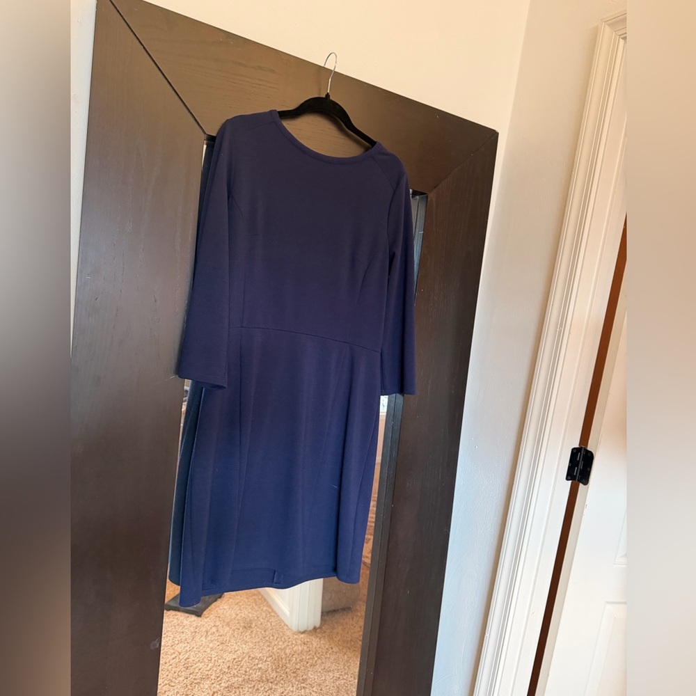 Jude Connally Classic Navy Long Sleeve Dress
